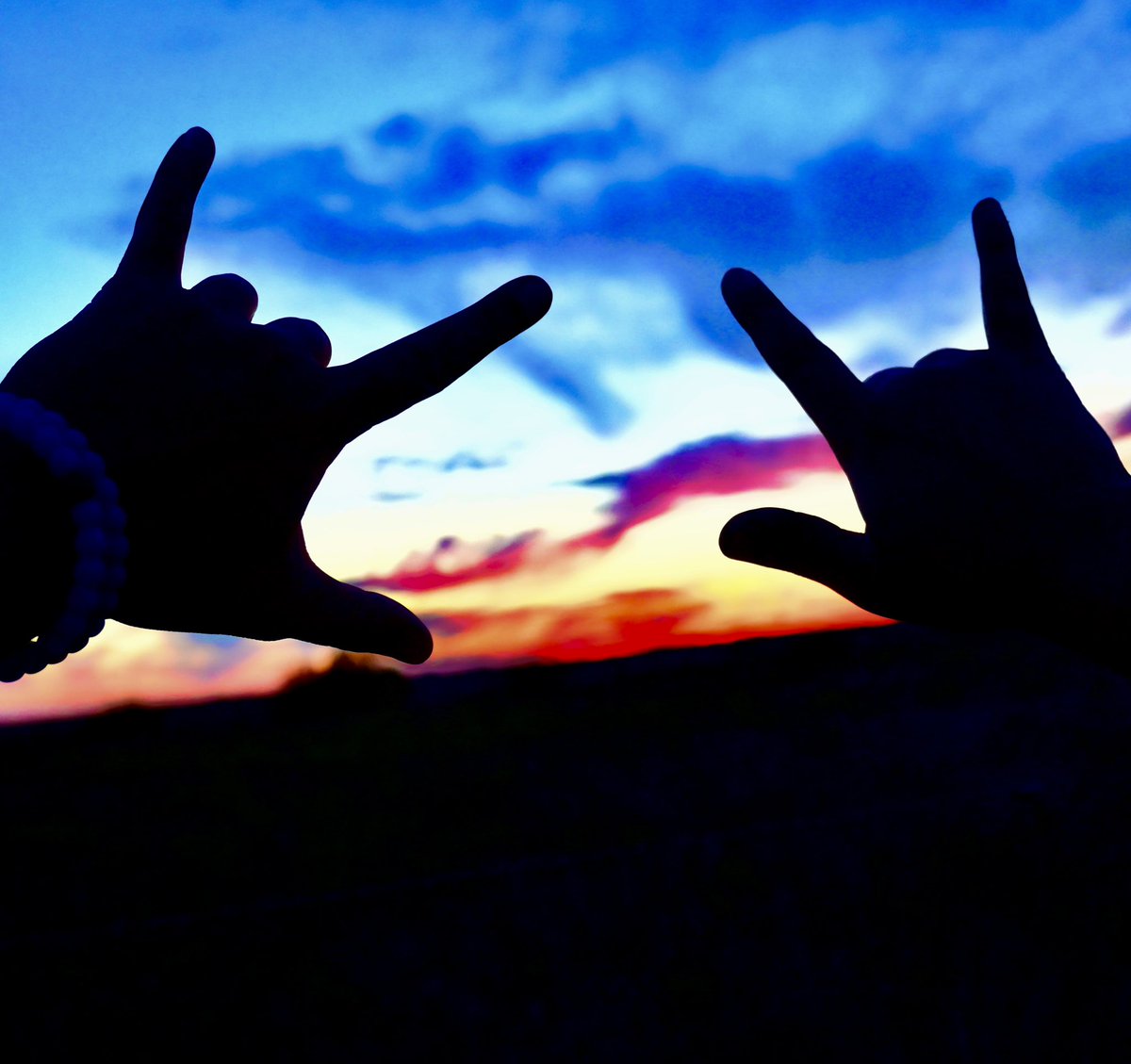 Katy Schaefer tweet media