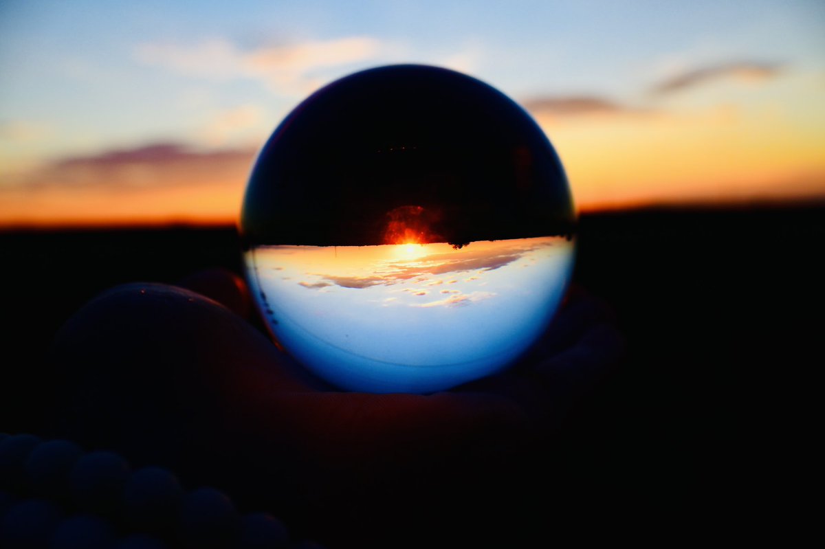 Katy Schaefer tweet media