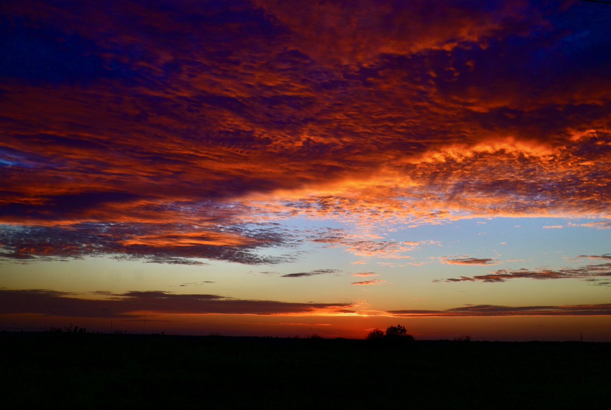 Katy Schaefer tweet media