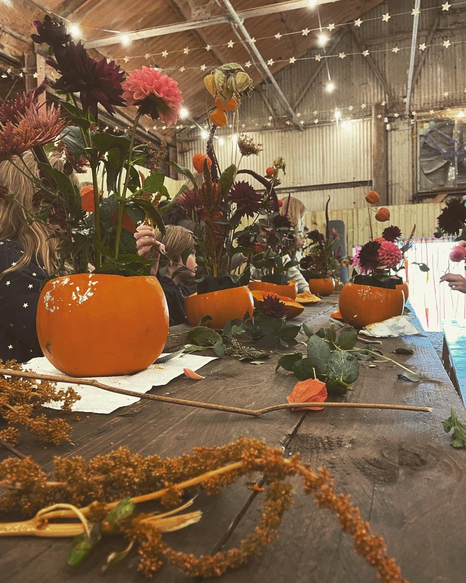 Forage and bloom tweet media