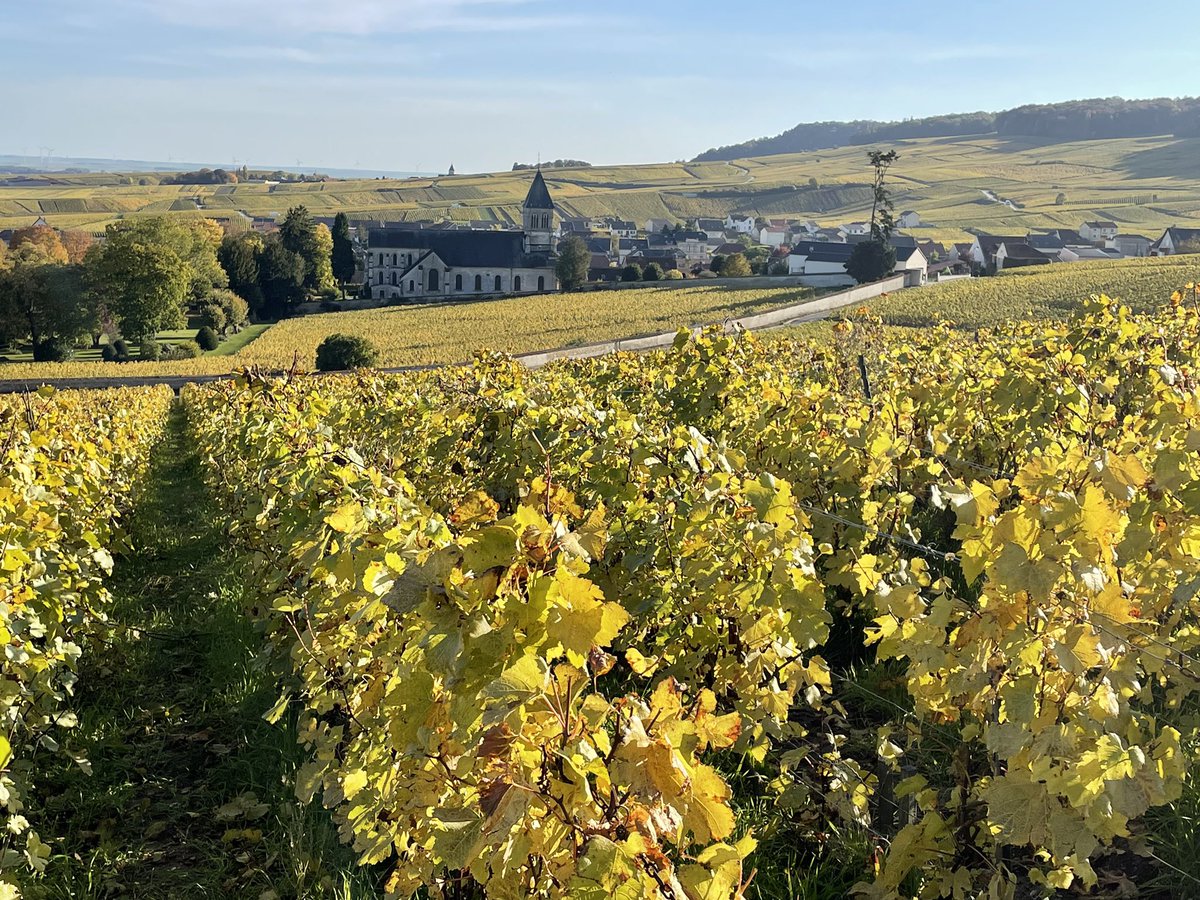 LouisRoederer_'s tweet photo. Autumn colors! So much #Champagne magic in this picture taken from « Terrates » in Oger! Vineyards, houses, church, forest… living #HandinHandwithNature #InPursuitofTaste -JBL https://t.co/t5o781OxKo