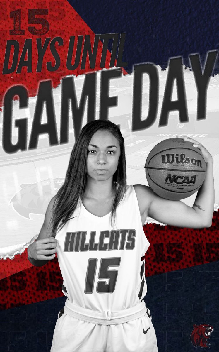 rsuwbb's tweet photo. ⏳15 days until our season opener
#CountdownUntilTipoff #DefendTheHill https://t.co/AlF320h5Uc