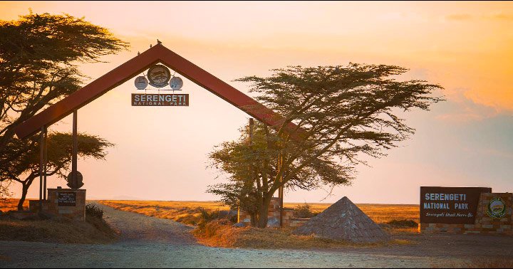 EmmanuelTayai's tweet photo. The best leading #national park in Africa three times
Really #Serengeti shall never die
.
.
#travel #travelling #traveltheworld #worl #serengetinationalparks #visittz #tzmagic https://t.co/dM7VlWlSqd