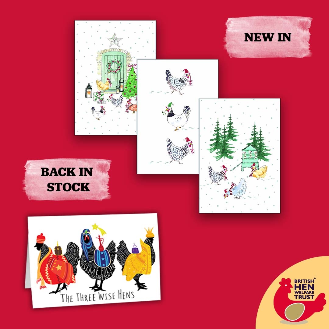 BHWTOfficial's tweet photo. They’re back! 💥 The @realbobmortimer Christmas Cards that sold out in 48 hours are now restocked and we also have our new @sophieallport Christmas Cards in stock! 🙌

With all profits going to the BHWT, why not get yourself a pack, or two today? 🙏 

https://t.co/DVTNogTaaT https://t.co/wMPEjo2MST