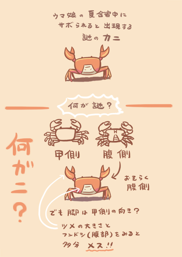 夏合宿中にサボられると出現する謎のカニ
 #ウマ娘
 #ウマ娘プリティーダービー 
