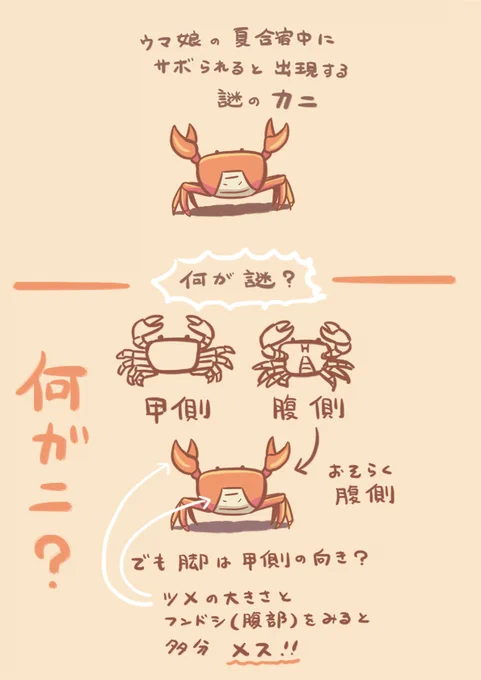 夏合宿中にサボられると出現する謎のカニ
 #ウマ娘
 #ウマ娘プリティーダービー 