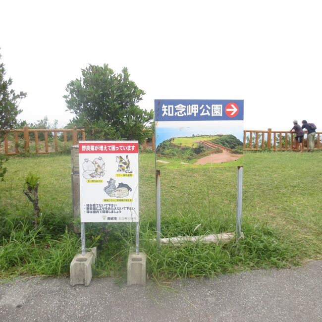 lovereyca's tweet photo. 内臓が飛び出るほど抉られた虐待から3か月余り。跡形も無く綺麗に完治し、煌めく生涯になるようにルビーと名付け家族の一員にました。虐待を助長しかねない知念岬公園の野良猫を軽蔑するような看板も、かねてより撤去を訴え2年本日ようやく南城市生活環境課が撤去してくれました。 https://t.co/k5Lex5s3zu
