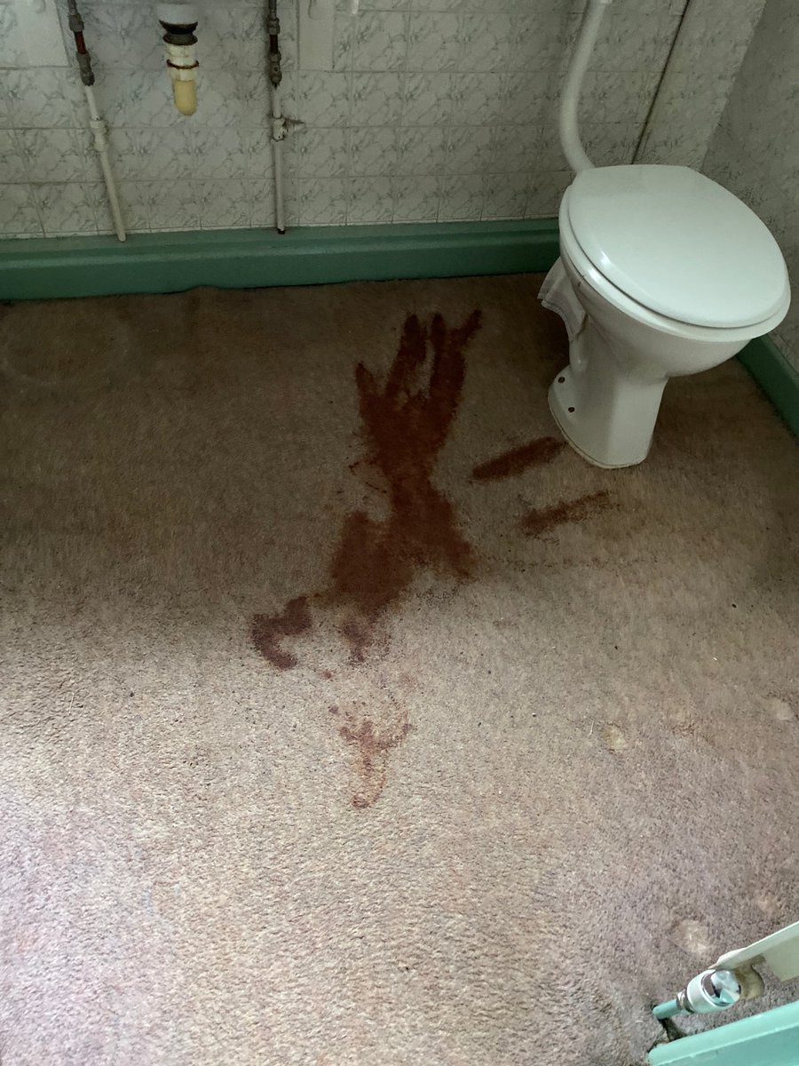 SM_Clean_Devon's tweet photo. Before and after of a stain removal attempted and cleaned https://t.co/mKziPWxQEg