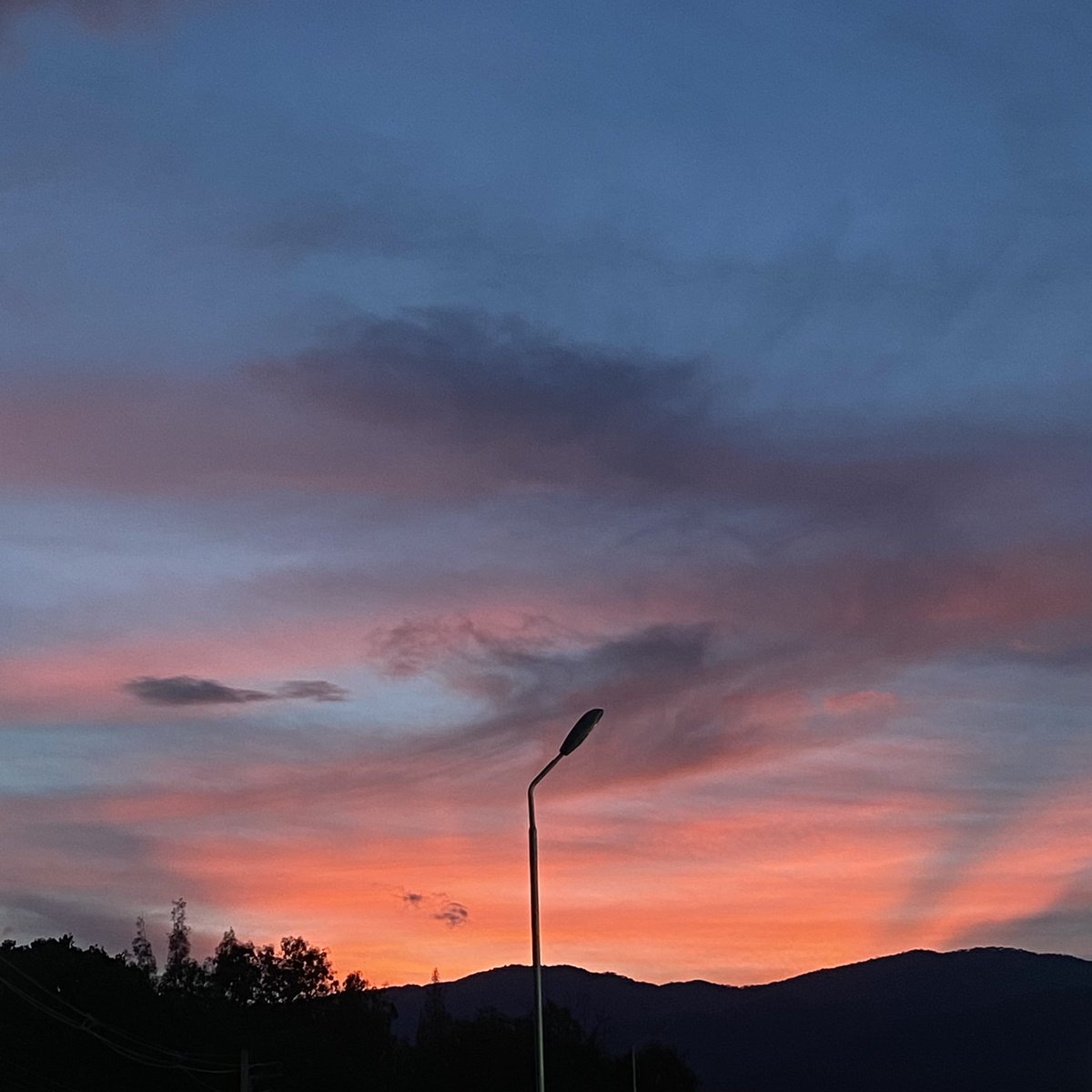 a few moments later 🦋🧡