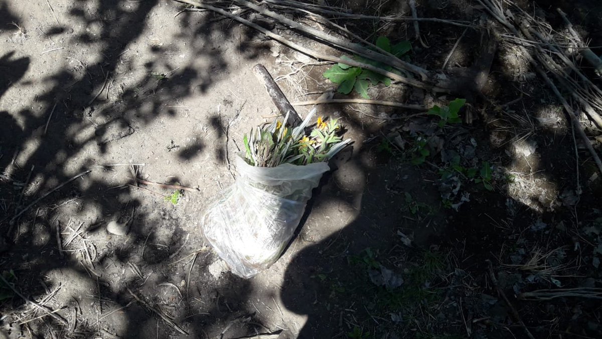 WillkakutiSR's tweet image. #Willkakuti plantó 🌼 en nuestros canteros de aromáticas en #ElNihuil.
#programadeautonomiaalimentaria
#plandeemergenciaalimentaria
#tumunicipio
Translate Tweet