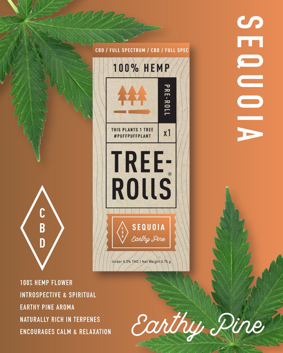 Tree_rolls's tweet image. There is something healing and magical about being among the trees🧚🌲

🌲🌲🌲  #treerolls

#amongthetrees #sequoianationalpark #truetoourroots #treerollpromise #enhanceyourexperience

l8r.it/uABJ