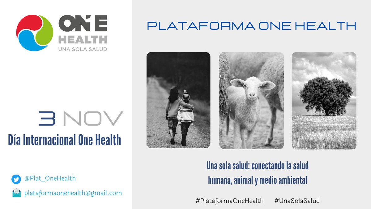 Hoy, Día internacional One Health, presentamos oficialmente la Plataforma One Health, red colaborativa estatal, interdisciplinar e intersectorial orientada al enfoque integral #UnaSolaSalud. Gracias a todas las entidades que formáis #PlataformaOneHealth por vuestro compromiso