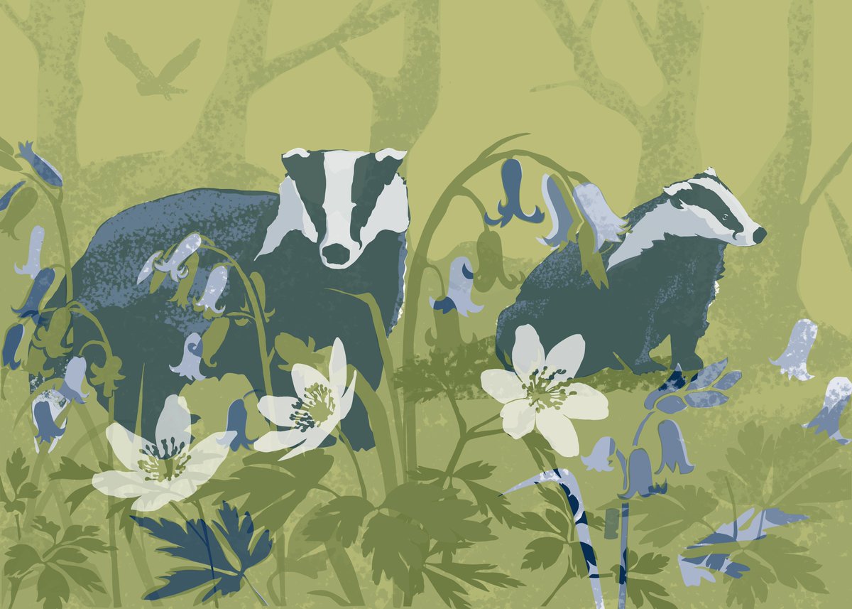 It is #NationalMammalWeek and to celebrate we are taking a look at some of our Wild Volunteers. 

Find out how badgers help BFT:
bordersforesttrust.org/shop/greetings…

#Mammalweek #greetingscards #wildvolunteers