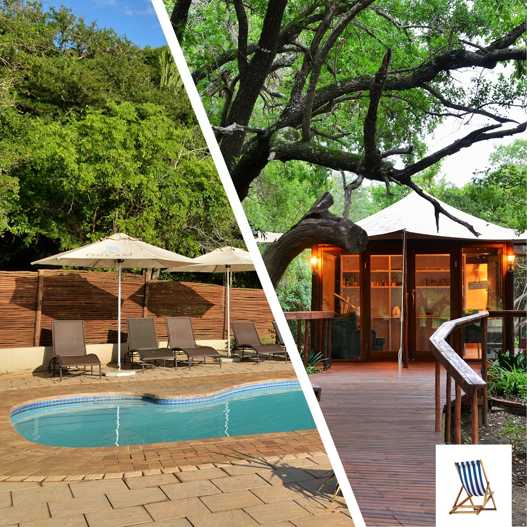 NibelaLodge's tweet photo. Escape the stress of work to your new home away from home at Nibela Lake Lodge. Lounge by the pool, treat yourself to a luxurious massage and feel the tension leaving your body as the only noise is your breathing and the sound of the wild.
#SAHoliday #KZNTourism https://t.co/WO60ZciSRa