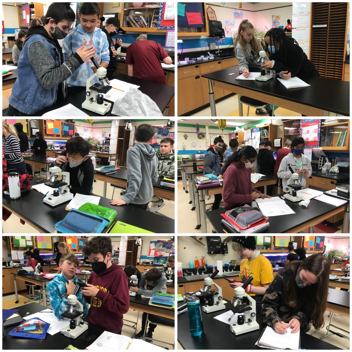poetzelsci's tweet photo. 7thgrade microscope work is out of this world. #fallspride#science#microscopes https://t.co/AIRY5Xz1XC