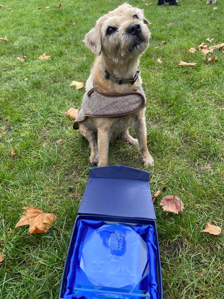 Edward Timpson CBE KC tweet media