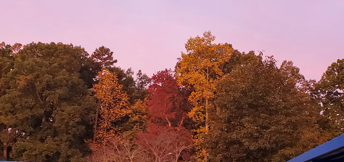 SCEBulldogs's tweet photo. A sunrise is casting light on the beautiful fall trees this morning in @SCEBulldogs world! Thank you @jlb216 for bringing us this beautiful sunrise! ❤ Thinking of you through this fall beauty! #theheartofSCE https://t.co/5jcBYWtUWc