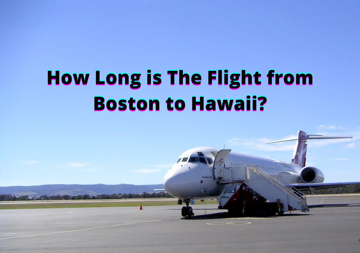 Dealofly (Dealofly1) Twitter