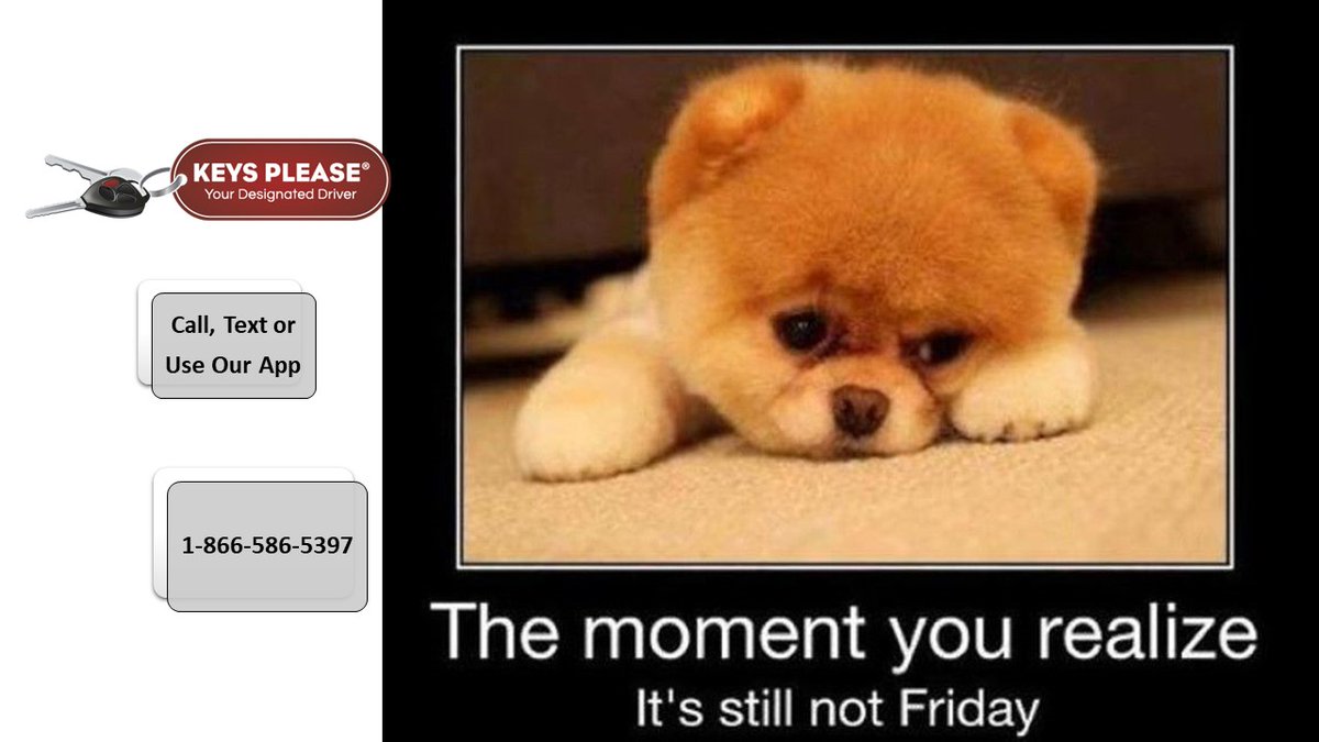 Happy Thursday! Hope you have an amazing day! #happythursday #drinking #beer #wine #cannabis #impairment #impaireddriving #designateddriver #driving #vehicles #transportation #support #safety #calgary #yyc