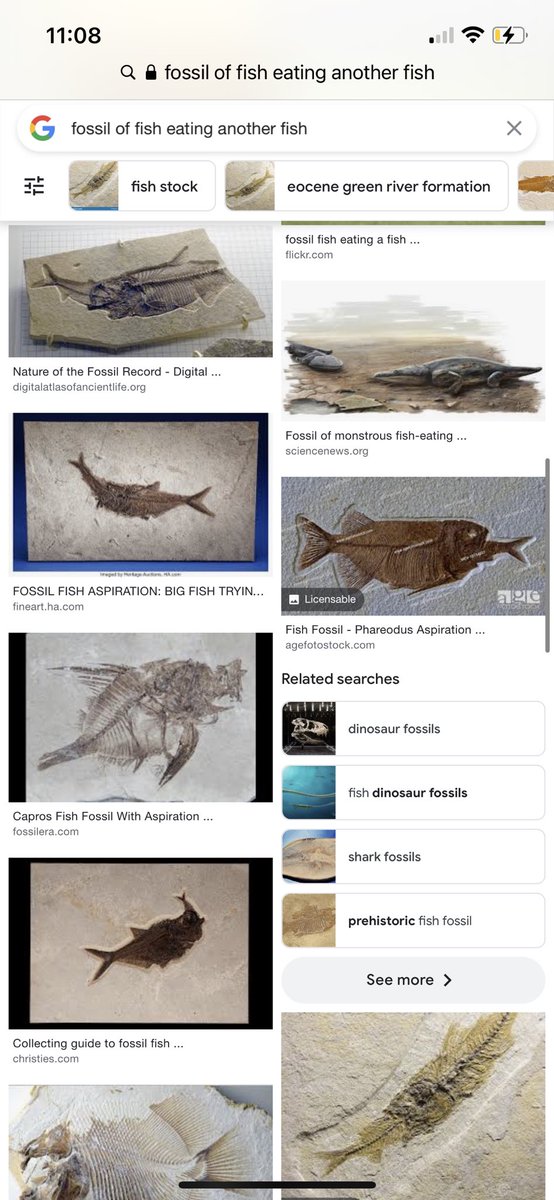 deusamatme's tweet photo. @MacBareth @Nominal31152751 @ScientiaPercept @JMichaelsonUT @self2_0 Here are fossils of fish eating another fish. According to evolutionists, it takes millions of years to form fossils. I don’t think it takes millions of years to eat a meal. No, these fish were buried alive rapidly, thus their meal still stuck in their esophagus. https://t.co/cXT7yHq3kv
