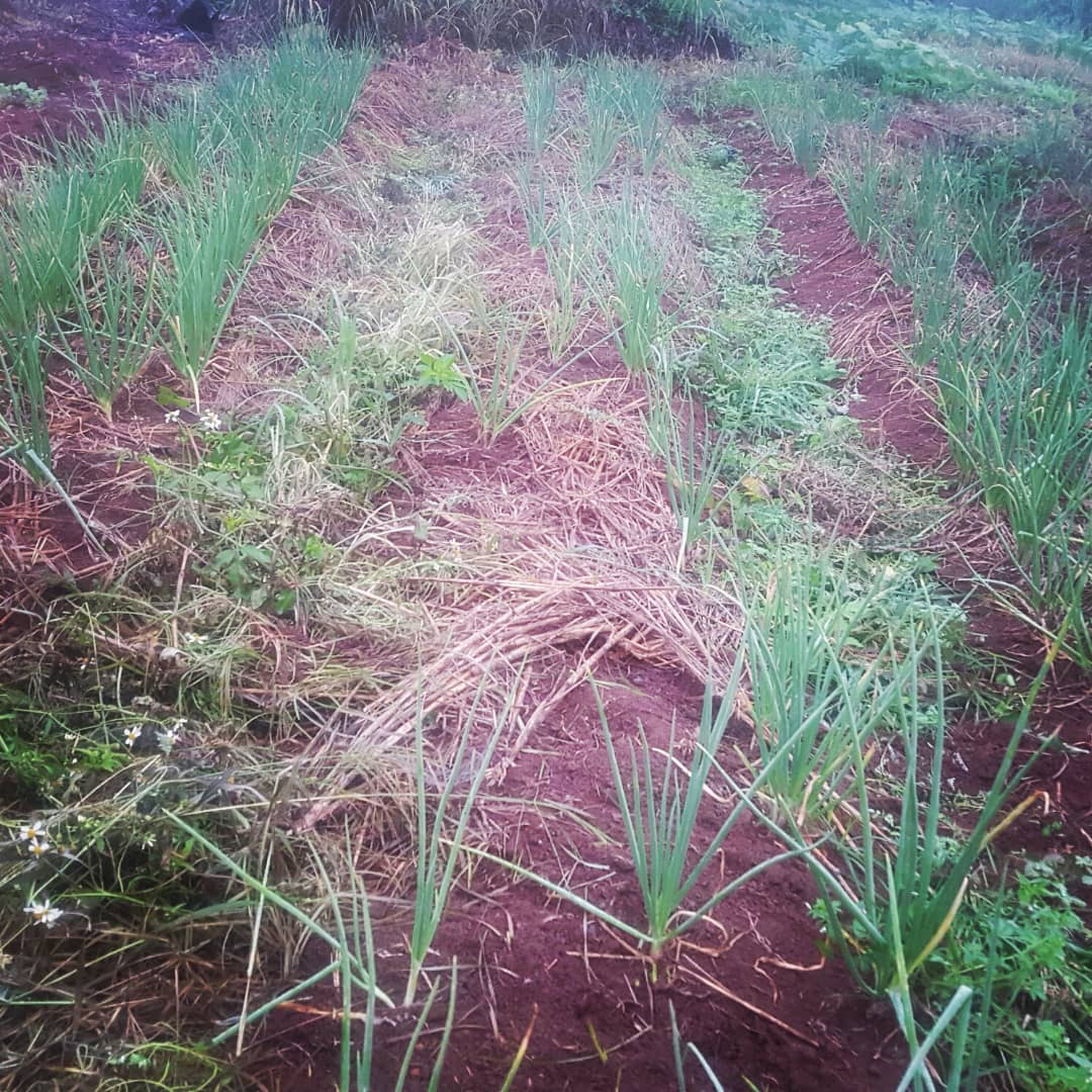 progress1962's tweet image. This is where my story start ,from nothing to something,  progress is not a sudden action but a gradually change for better.