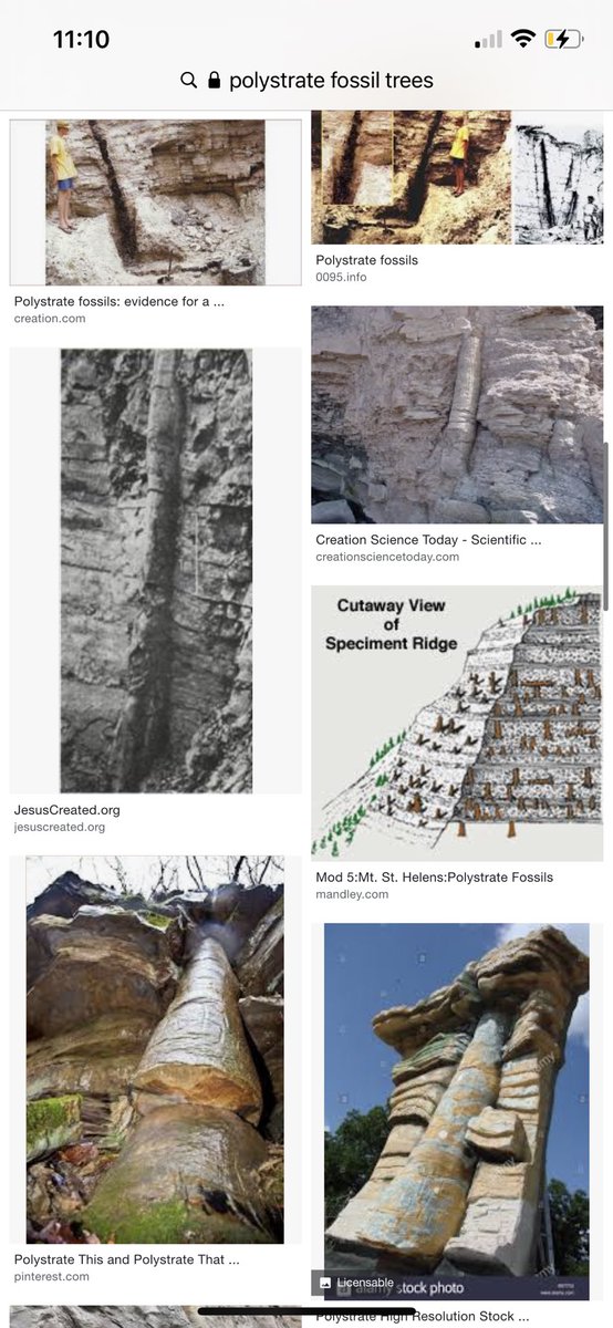 deusamatme's tweet photo. @MacBareth @Nominal31152751 @ScientiaPercept @JMichaelsonUT @self2_0 Here are polystrate fossils that penetrate many strata, each supposedly took “millions of years” to lay down. You think trees can stand up for hundreds of millions of years waiting to be petrified? No! They were rapidly buried in the huge sedimentation in the Floor. https://t.co/RTLIY6WBZa