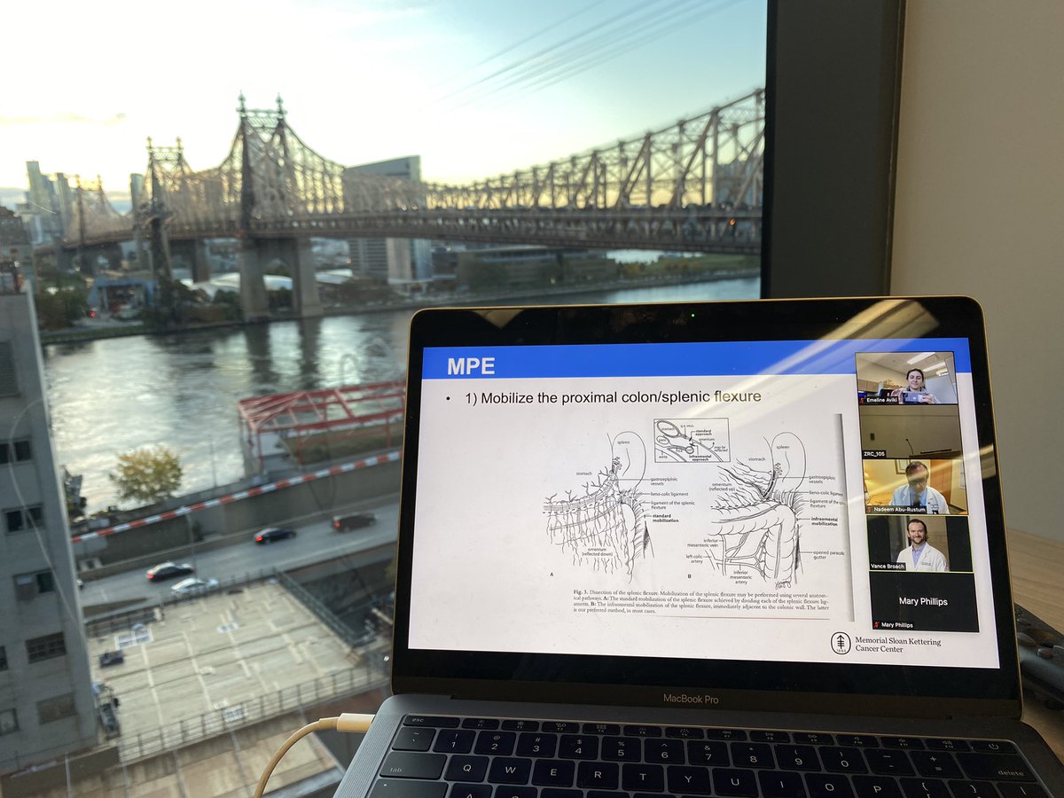 Morning didactics with a view (you may recognize this view from <a href="/leitaomd/">Mario M. Leitao, Jr</a> tweets). Great talk on ovarian cancer surgery by the one and only <a href="/VanceBroach/">Vance Broach</a> ! <a href="/TeamOvary_MSK/">Team Ovary, Memorial Sloan Kettering Cancer Center</a> <a href="/TeamEndo_MSK/">MSKCC Team Uterus</a>