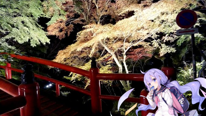 河鹿橋のライトアップ!
ちょっと色づきはじめました!🍁 