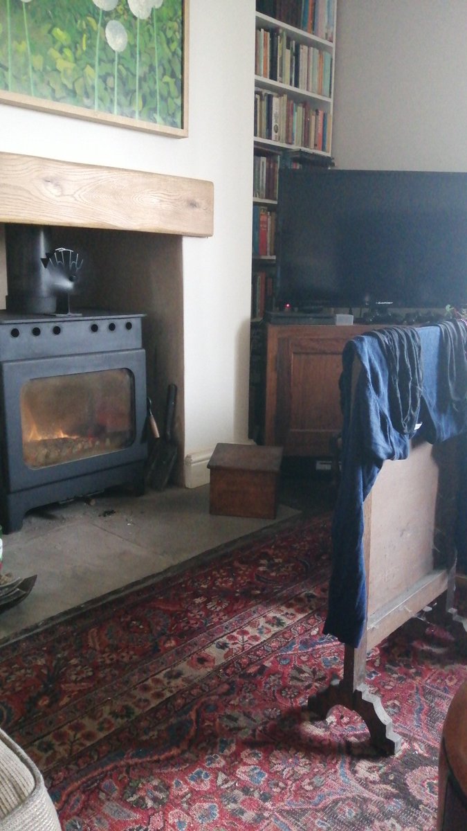 lifeonpigrow's tweet photo. Our hotlogs for winter have just arrived and Carol is taking full advantage of them #hotmax #dryingclothes https://t.co/hFUbHjA9Tg