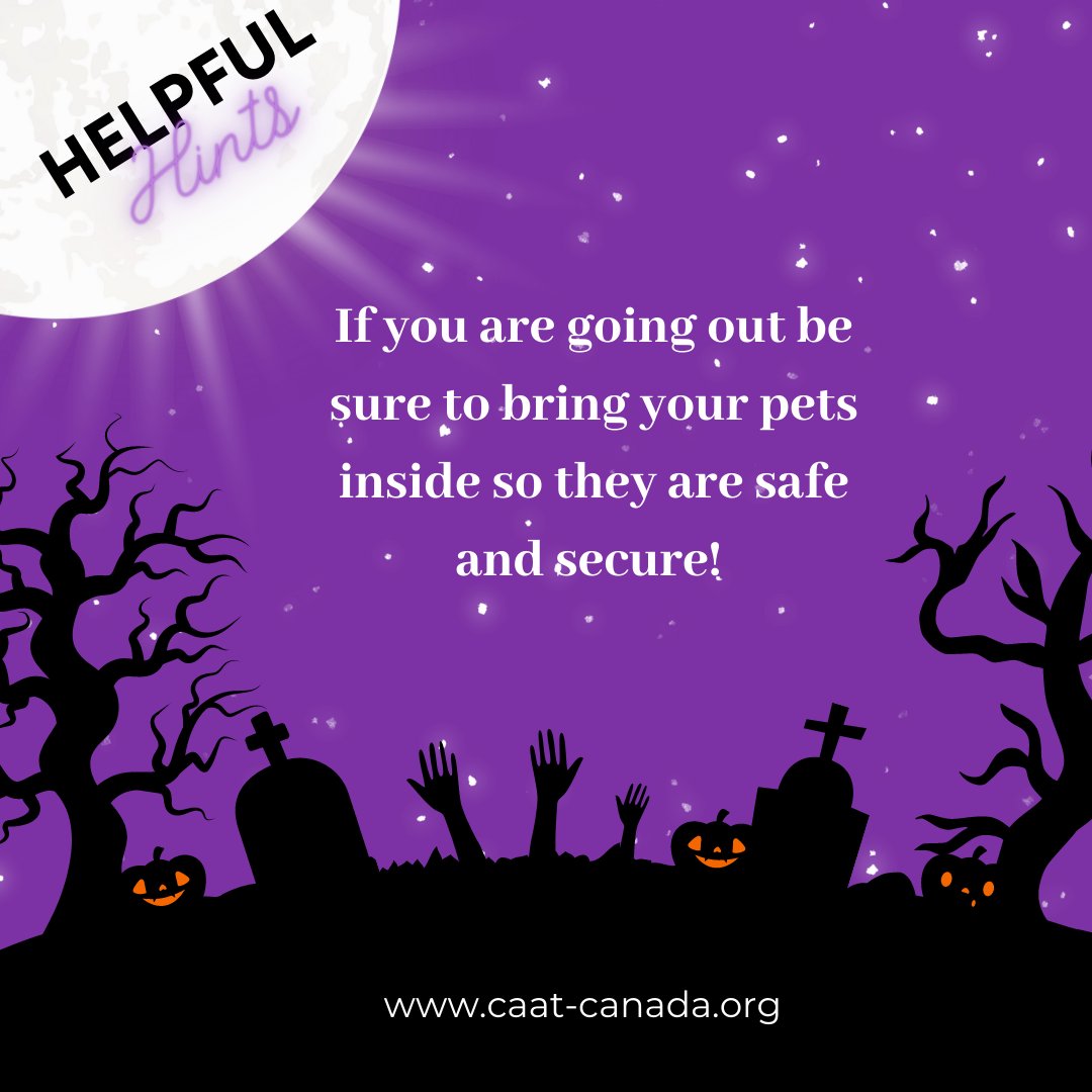 CAAT_Canada's tweet photo. Helpful Halloween Hints! 🎃

#Halloween2021 #Halloween #safety #dogs #cats #petsarefamily #non-profit #besafe #dogsofinstagram #dogsoffacebook #catsofinstagram #catsoffacebook #beprepared https://t.co/QTmxEi7rhJ