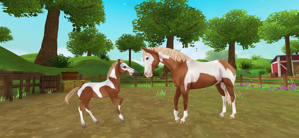 Star stable horses. Кватерхорс лошадь стар стейбл. Star stable horses. Ганноверская лошадь стар стейбл. Андалузская порода лошадей стар стейл.
