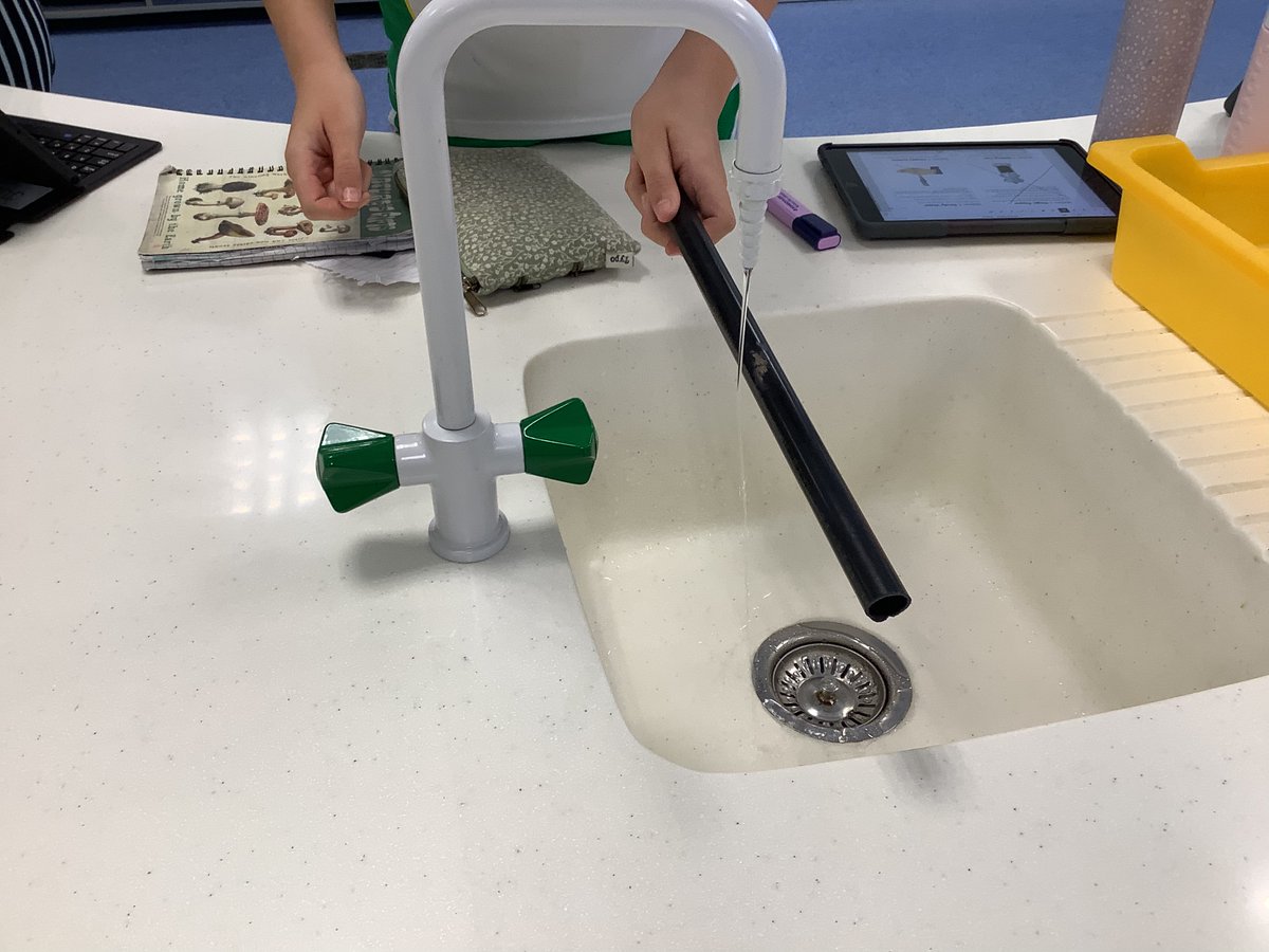 Science | The Arbor School tweet media