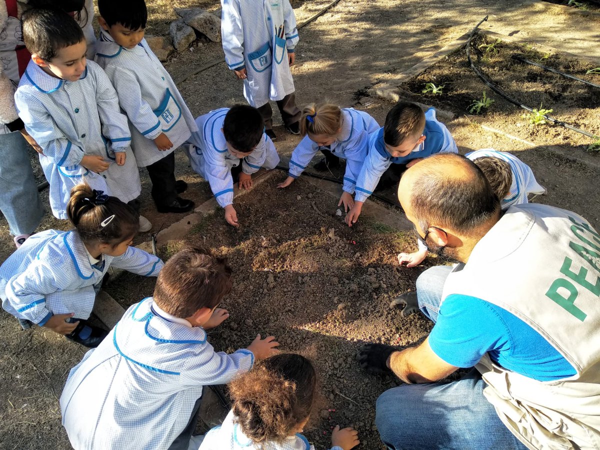 Os dejamos las imágenes de nuestros peques de infantil en el huerto🌱🌿:
➡juanxxiiicartuja.com/2021/10/28/hue…

#colegiogranada #granada #cartuja #infantil #huertoinfantil