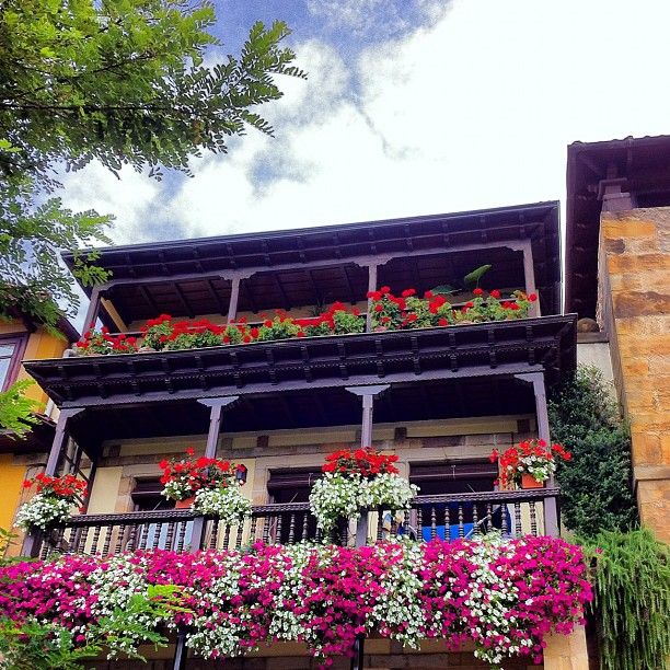 Olga_Comillas's tweet photo. @Facundo_Arana
Para mí, son #Gitanillas
Balcones en #Comillas https://t.co/xjtXvYoBPA