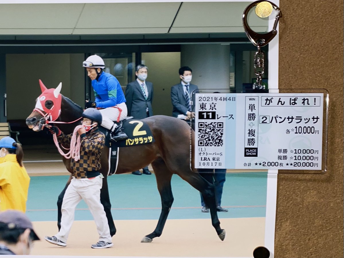 オータムセール 超希少パンサラッサドバイ優勝記念ぬいぐるみ