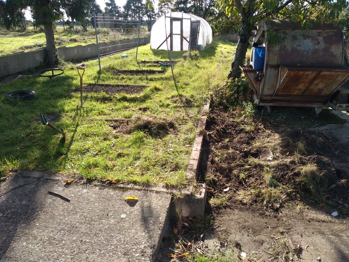 YouthOffending's tweet photo. Working on the allotment today turning over soil in preparation for next year. 
A member of staff asked a young person to caption this picture.
They looked up into the sky in deep thought... And we're still waiting for an answer. 

#loveworkingwithyoungpeople😅 https://t.co/rIXgLYteAf