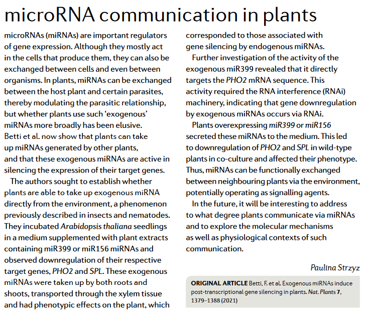 microRNA communication in plants: Research Highlight about our paper in <a href="/NaturePlants/">Nature Plants</a> nature.com/articles/s4147… in <a href="/NatRevMCB/">Nature Reviews Molecular Cell Biology</a>. You can read it here: rdcu.be/cAmsl
