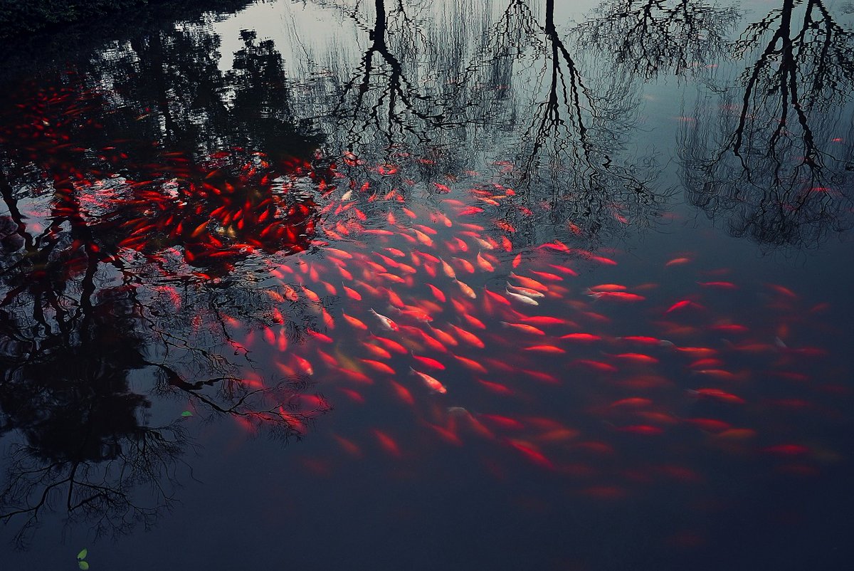 archillect's tweet image. 