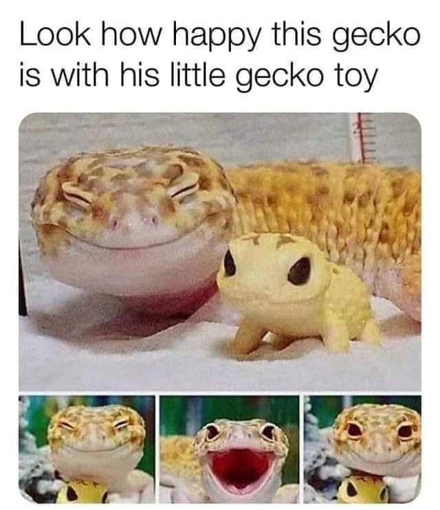WholesomeMeme's tweet photo. https://t.co/DiNH8JLmgq