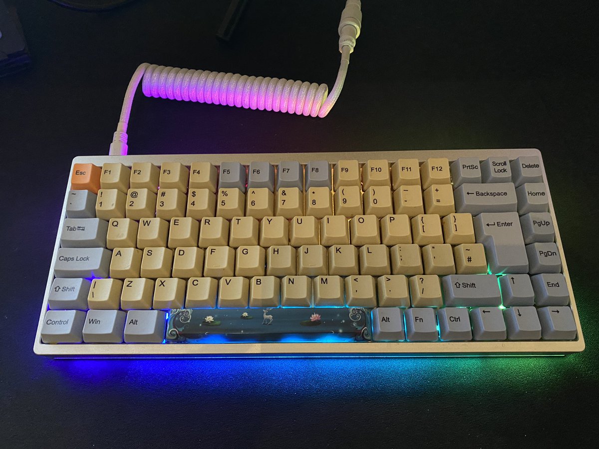 Took me quite some time and testing to find the right switches. 

Base is a KBD75V2 but <a href="/BolekR6/">Bolek</a> modified my PCB to be technically hot swapple. Switches are Gateron silent inks and the cable is from Glorious. Sound test bellow. 

100% recommend Bolek for custom builds 💪