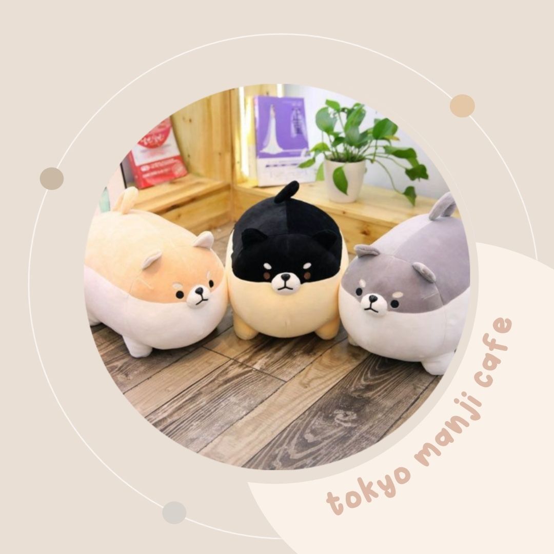 ௹ Toman Cafe ー CLOSED tweet media