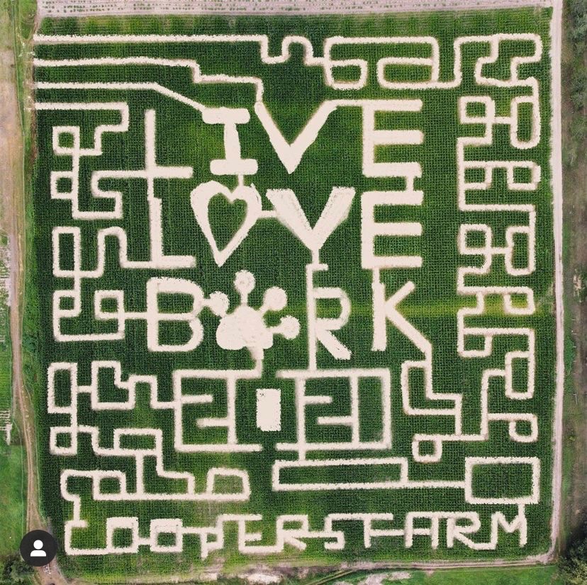 Nothing says fall like getting lost in a corn maze. Kelsey Cooper, of <a href="/CoopersFarm/">Coopers CSA Farm</a> joined us this morning to tell us what it takes to design those tricky puzzles. Here's a look at this year's corn maze.