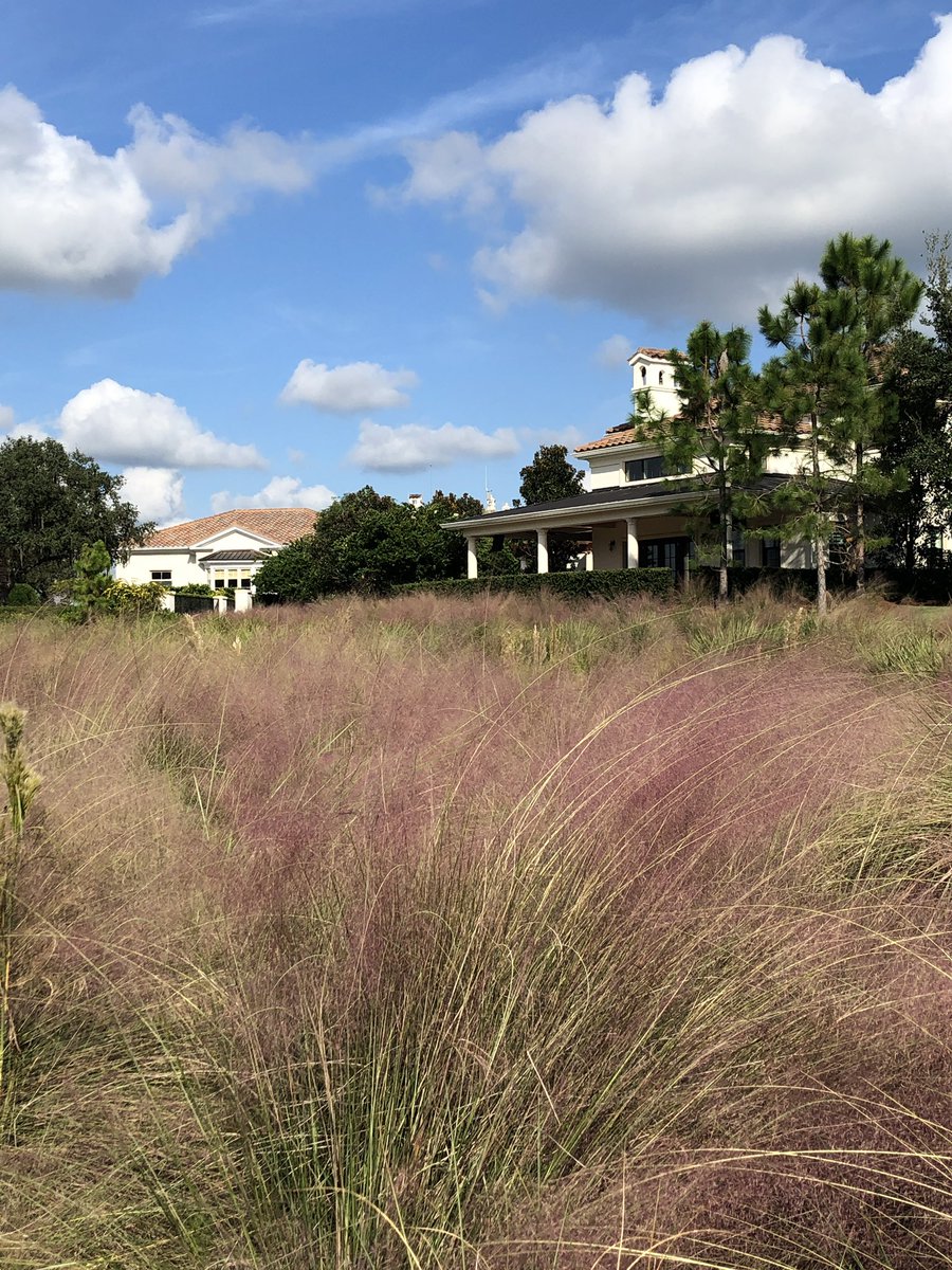 The Concession tweet media