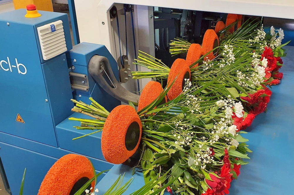 Machine manufacturer <a href="/HavatecBV/">Havatec</a> presents several important novelties at #IFTF. Go see them at booth B3.26. Check the list of new machines in this article:
#cutflowers #flowerbulbs #havatectwister #bouquetmachine    digital.floribusiness.com/floribusiness-…