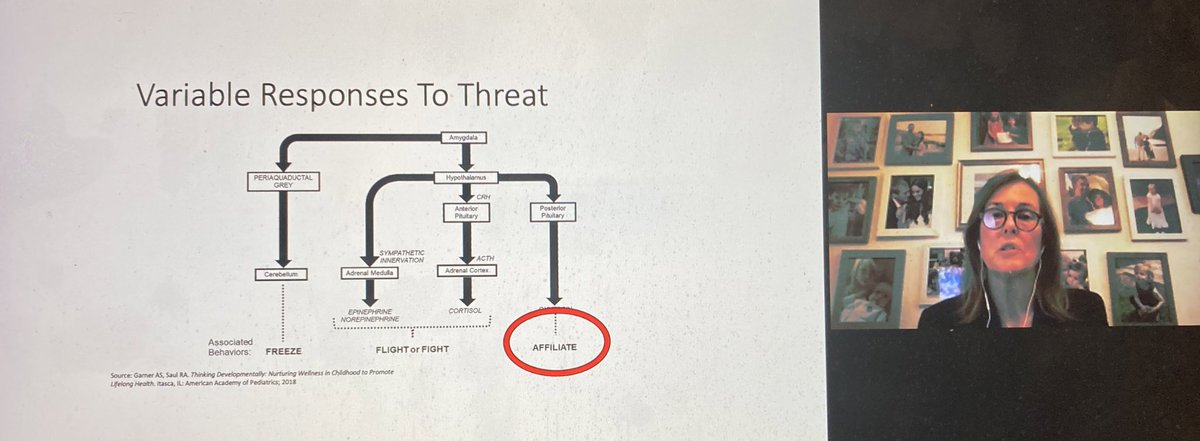 Kristi Westphaln, PhD RN CPNP-PC tweet media