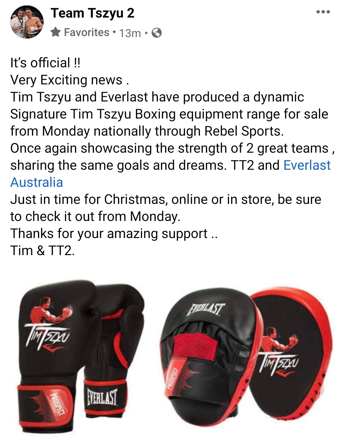 Rebel sport boxing pads sales