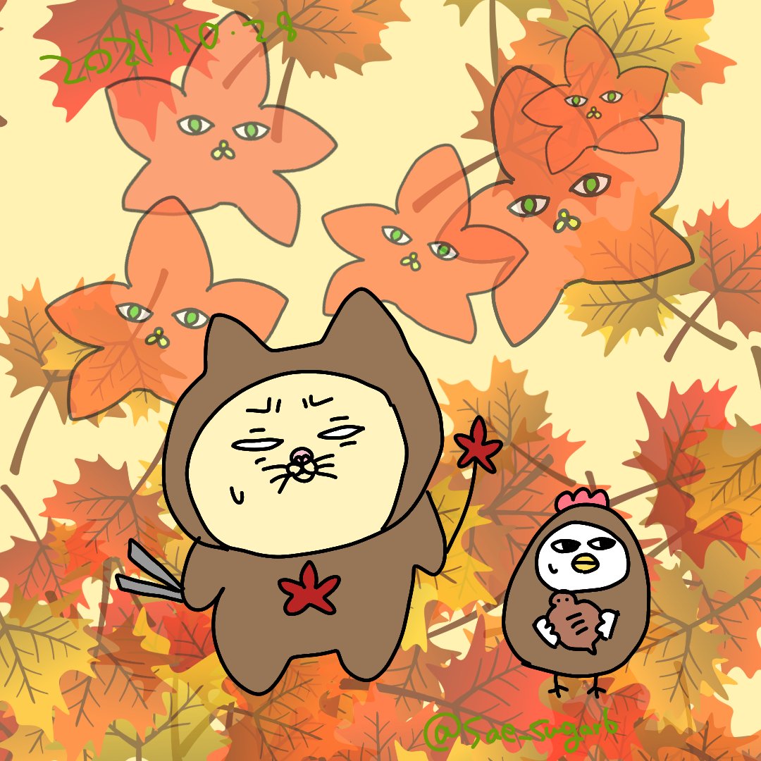 紅葉狩り🍁 