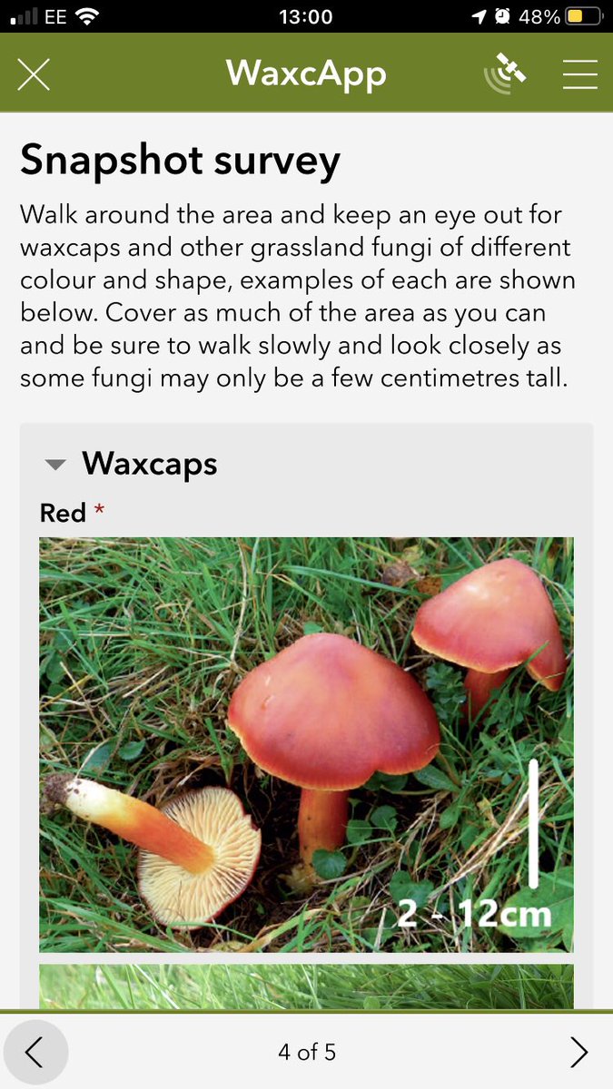PlantlifeCymru's tweet photo. Join us tomorrow for last in @Love_plants #fallintonature programme. BrillIant artist & tutor @B_M_Workshops will bring waxcap fungi to life through this free, online, family workshop. 10:30 - 12 noon. Booking 👉 https://t.co/KVTeBdXpNR 🍄 https://t.co/nZIaTaYbf9