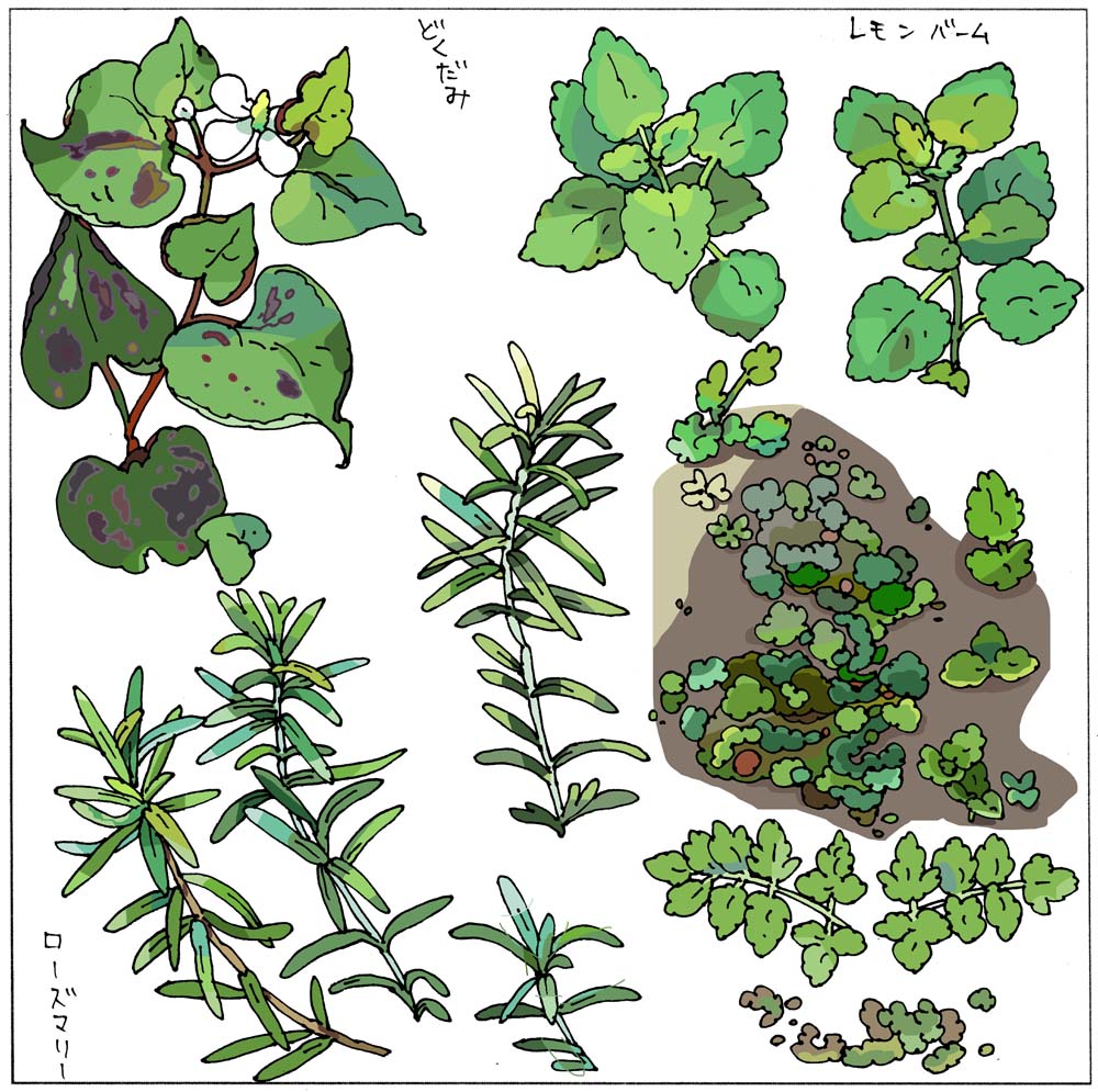 2枚目にある雑草を少しずつピックアップしました🌿
どこの草を描いたか探してみるのも楽しいかも😂 