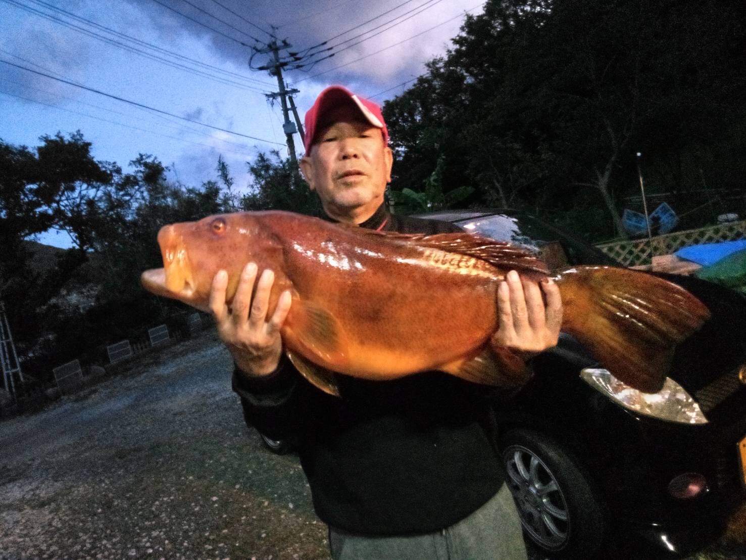 共栄丸 対馬 内院 Tsushima Nagasaki Japan 長崎県対馬市厳原町豆酘内院 ナイトフィッシングの釣果 4 5 のアラ クエ を4本 こえちょる アラ独特の シーン グッ コンマ数秒の間 ッズブズブズブズブ というアタリは病みつきですね 共栄丸 対馬 内院 Tsushima Nagasaki Japan 長崎県対馬市厳原町豆酘内院 ナイトフィッシングの釣果 4 5 のアラ クエ を4本 こえちょる アラ独特の シーン グッ コンマ数秒の間 ッズブズブズブズブ というアタリは病みつきですね